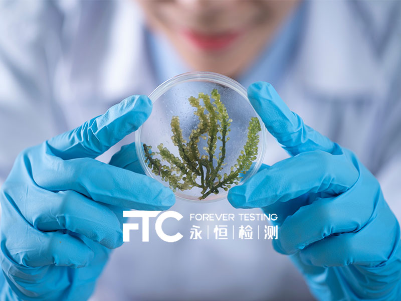 唐山永恒檢測(cè)科技有限公司網(wǎng)站建設(shè)案例